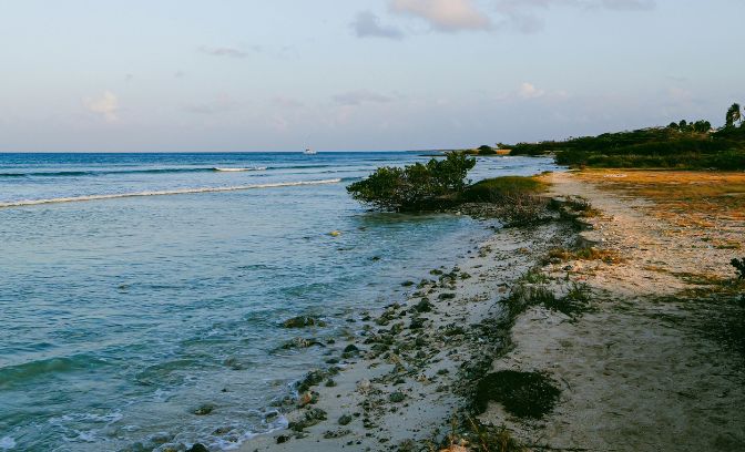 Zee en natuur op Grand Turk